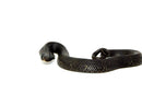 Eastern Hognose Snake (Heterodon platirhinos)