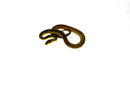 Timor Python Female (Malayopython timoriensis) - FEMALE 1