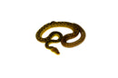 Timor Python Male (Malayopython timoriensis) - MALE 1