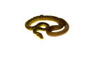 Timor Python Male (Malayopython timoriensis) - MALE 1