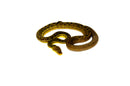 Timor Python Male (Malayopython timoriensis) - MALE 1
