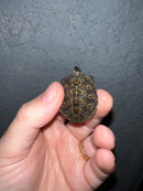 Concentric Diamondback Terrapin 2022 (Malaclemys terrapin)