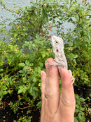Hypo Zero Bearded Dragon