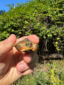 Golden Coin Box Turtle 2025
