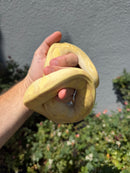 Banana Ball Python Mixed Morph Female