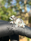 Amazon Milk Frog (Trachycephalus resinifictrix)