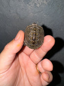 Hi White Concentric Diamondback Terrapin 2024