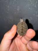 Hi White Concentric Diamondback Terrapin 2024