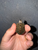 Hi White Concentric Diamondback Terrapin 2025