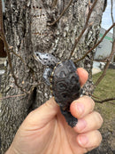 Hi Blue Concentric Diamondback Terrapin 2025