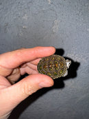 Hi White Concentric Diamondback Terrapin 2025