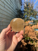 Nile Softshell Baby USA CB