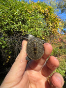 Hi White Concentric Diamondback Terrapin 2025