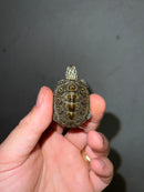 Hi White Concentric Diamondback Terrapin 2023