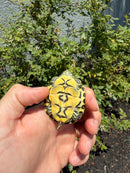 Florida Red Bellied Turtle X Peacock Slider