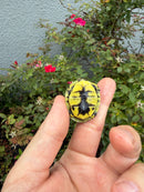 HI YELLOW Florida Box Turtle