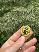 HI YELLOW Florida Box Turtle 2025