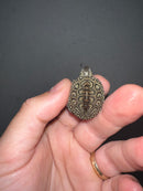 Concentric Diamondback Terrapin 2023 (Malaclemys terrapin)
