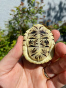 HI YELLOW Florida Box Turtle