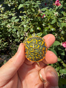 Flame Pastel Clown Northern Red Bellied Turtle