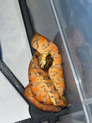 Amazon Tree Boa Baby 2023 CB
