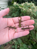 Marbled newt (Triturus marmoratus)