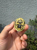 HI YELLOW Florida Box Turtle