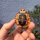 Vietnamese Three-striped Box Turtle