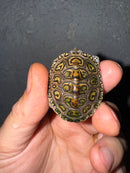 Hi White Concentric Diamondback Terrapin 2025