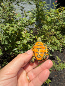 Florida Red Bellied Turtle X Peacock Slider