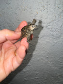 Hi White Concentric Diamondback Terrapin 2024