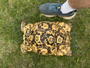 HI White Leopard Tortoise Adult Female