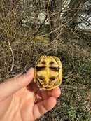 Burmese Star Tortoise 2024