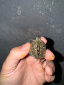Hi White Concentric Diamondback Terrapin 2024