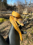 Pastel Pinstripe Low White Pied Ball Python Female