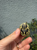 HI YELLOW Florida Box Turtle