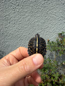 HI YELLOW Florida Box Turtle