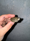 Hi White Concentric Diamondback Terrapin 2024