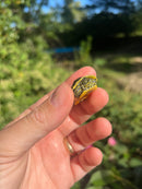 Yellow Flame Baby Florida Red Bellied Turtle