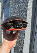Super Red Northern Red Bellied Turtle Adult Female