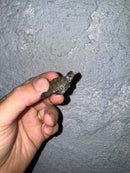 Hi White Concentric Diamondback Terrapin 2024