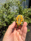 Florida Red Bellied Turtle X Peacock Slider