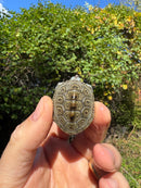 Hi White Concentric Diamondback Terrapin 2025