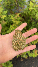 Egyptian Giant Green Toads (Sclerophrys regularis)