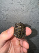 Hi White Concentric Diamondback Terrapin 2024