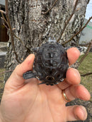 Hi Blue Concentric Diamondback Terrapin 2025