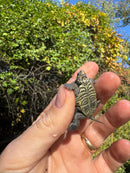 Hi White Concentric Diamondback Terrapin 2025