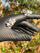 Amazon Milk Frog (Trachycephalus resinifictrix)