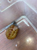 Hi Orange Vietnamese Black Breasted Leaf Turtle Baby 2026