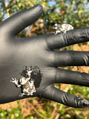 Amazon Milk Frog (Trachycephalus resinifictrix)